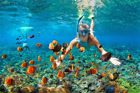 Magical snorkeling experience at the sands beach